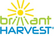 Brilliant Harvest
