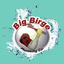 Big Birge Plumbing brand logo