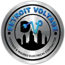 Detroit Voltage brand logo