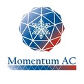 Momentum AC & Electric