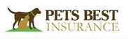 Pet Insurance Buyers Guide 2021 | ConsumerAffairs