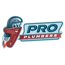 Pro Plumbers brand logo
