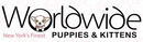 Worldwide Puppies and Kittens