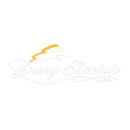 Young Electric brand logo