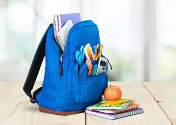 Children with autism may benefit from weighted backpacks at school