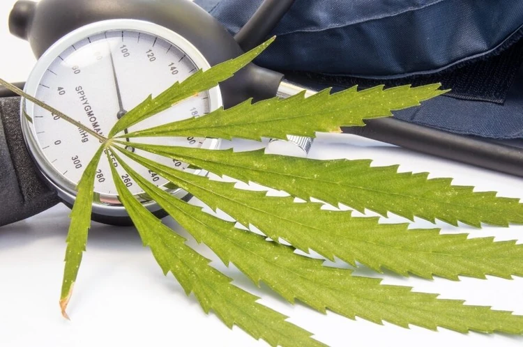 Cannabis May Help Lower Blood Pressure For Older Adults, Study Finds