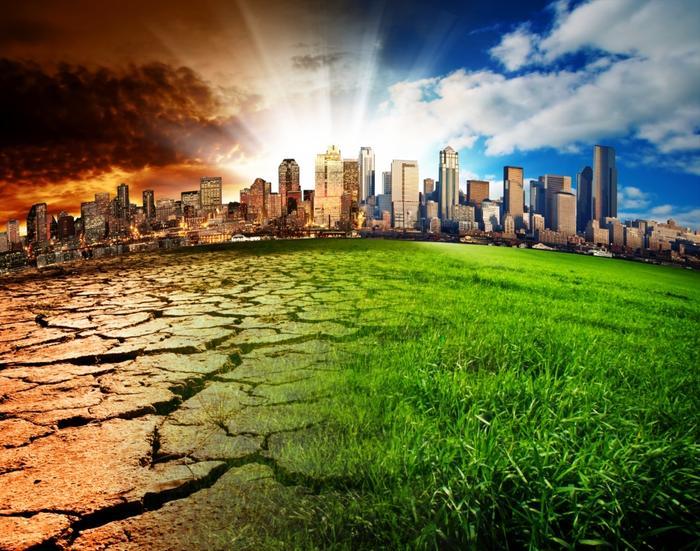 Climate change could lead to financial crisis, Fed researcher warns