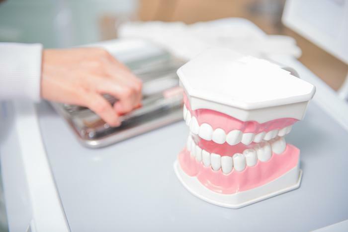 Dentist with model teeth