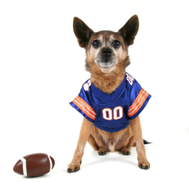 NFL Dog Hoodie (Large or Extra-Large)