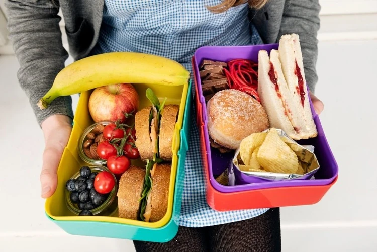 Children's Packed lunches: Do they meet the nutritional standards? -  myfood24