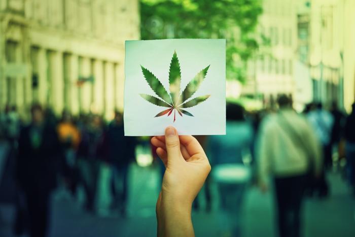 Marijuana legalization concept