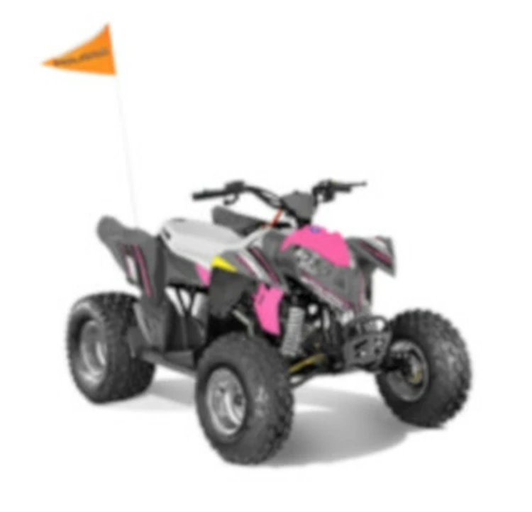 Polaris Recalls Sportsman 570 All-Terrain Vehicles Due to Fuel Leak, Fire  Hazards