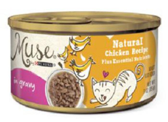royal canin cat food recalls