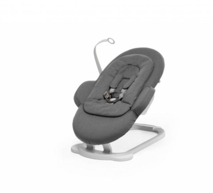 recall on fisher price bouncer