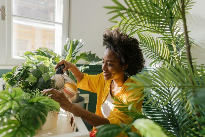 Woman watering indoor plants