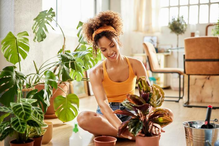 Woman with indoor houseplants