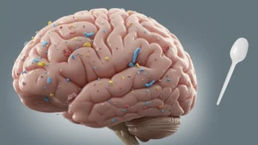 Featured Health News photo