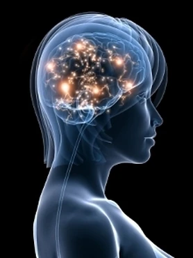 How to Keep Your Brain in Shape image