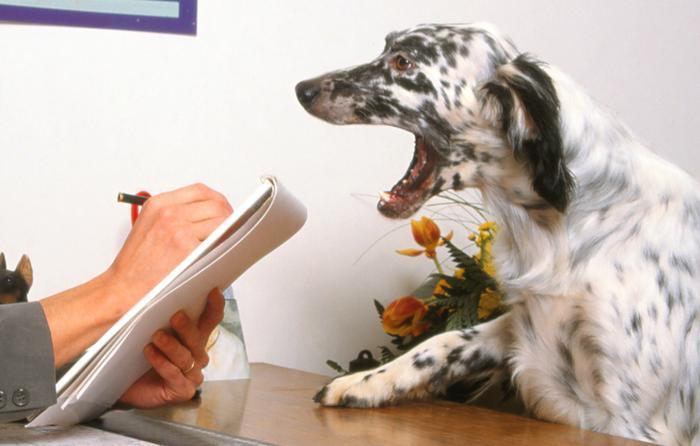 psychiatrist for dogs