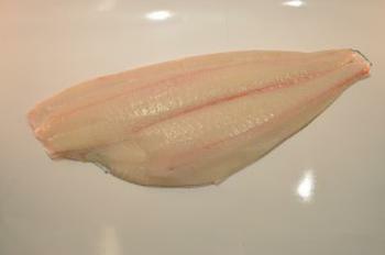Northeast Seafood halibut