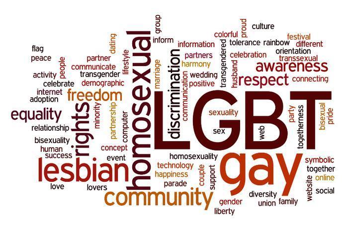 the word gay definition
