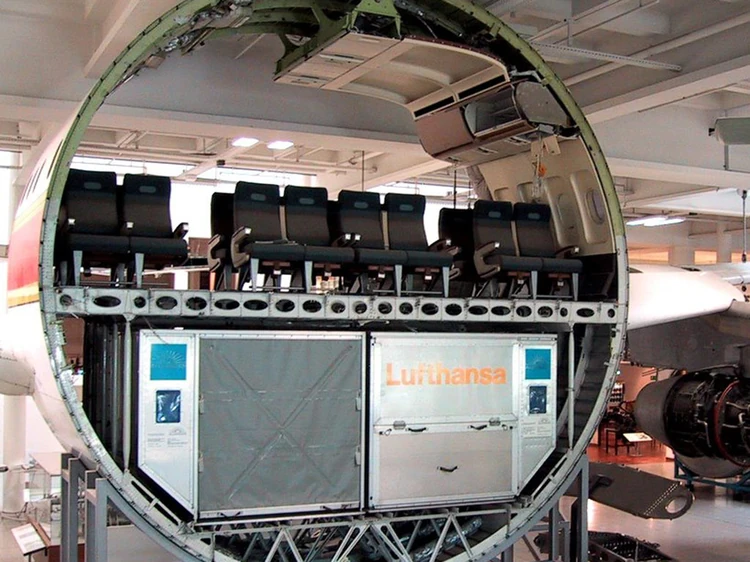 Dogs flying store in cargo hold