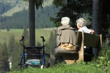 Boomers Come Face to Face With Alzheimer's image