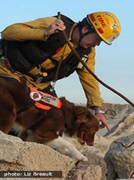 Rescued Dogs Work to Rescue Haiti Earthquake Victims