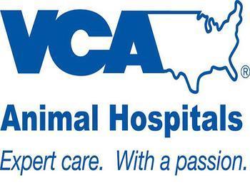 vca animal hospital green