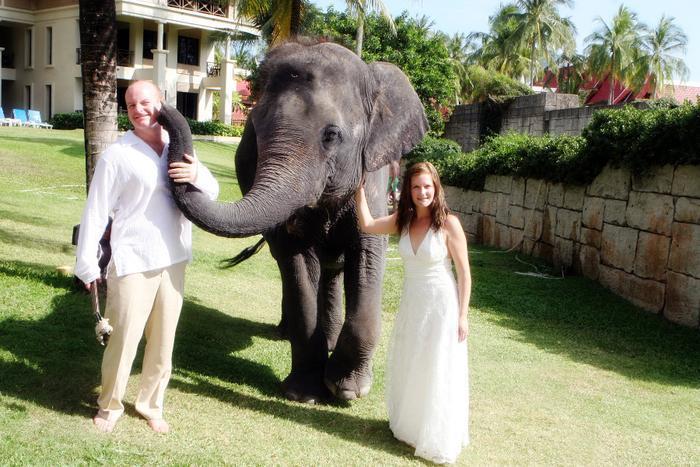 Mga resulta ng larawan para sa marriage proposal in front of Charging Elephant"