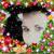 profile pic of the author