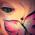 profile pic of the author