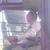 profile pic of the author