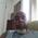 profile pic of the author