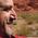 profile pic of the author