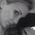 profile pic of the author