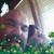 profile pic of the author