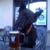 profile pic of the author