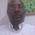 profile pic of the author