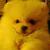 profile pic of the author