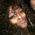 profile pic of the author
