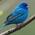 profile pic of the author