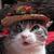 profile pic of the author