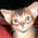 profile pic of the author