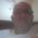 profile pic of the author