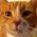 profile pic of the author