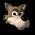 profile pic of the author