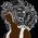 profile pic of the author