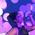 profile pic of the author