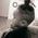 profile pic of the author